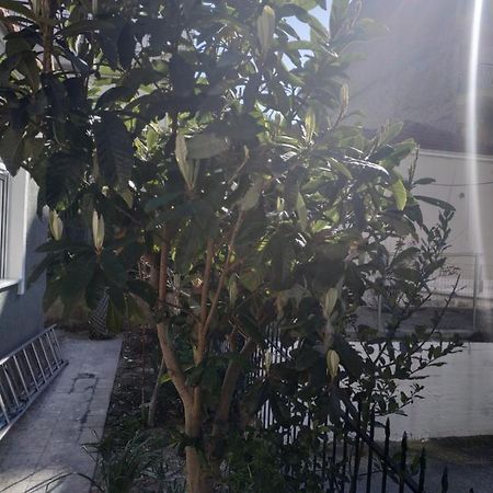 Agelikis' Apartments Nea Kallikrateia 外观 照片