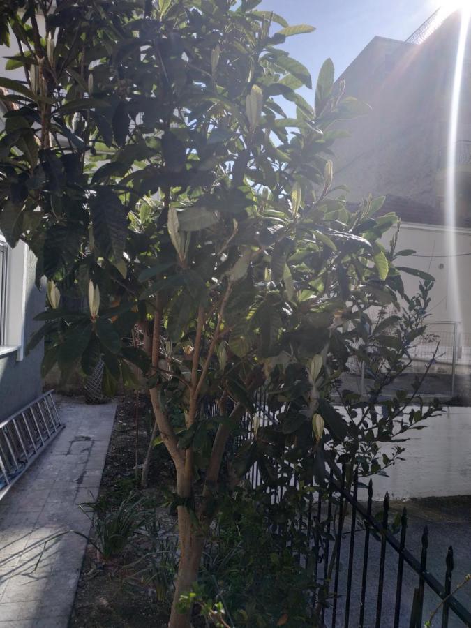 Agelikis' Apartments Nea Kallikrateia 外观 照片